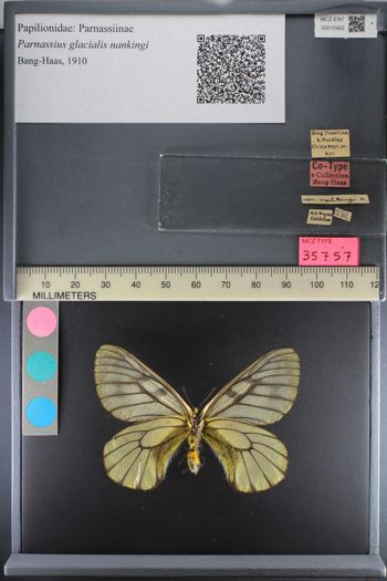 Media type: image;   Entomology 210422